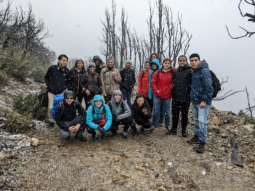 Group of students posing in front of a plant.