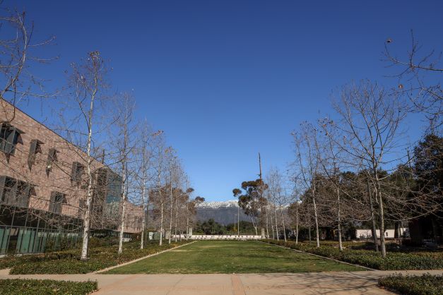 Photo of a line of trees in front of a mountain with snow at the top.