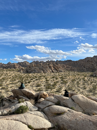 Students sitting on rocks in front of a field