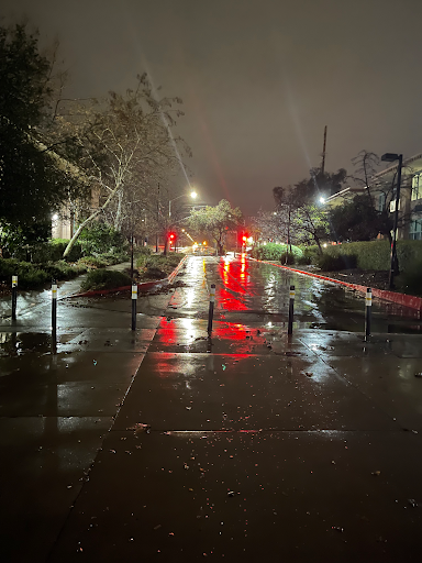 A road wet from rain with trees on either side and red car headlights in the distance