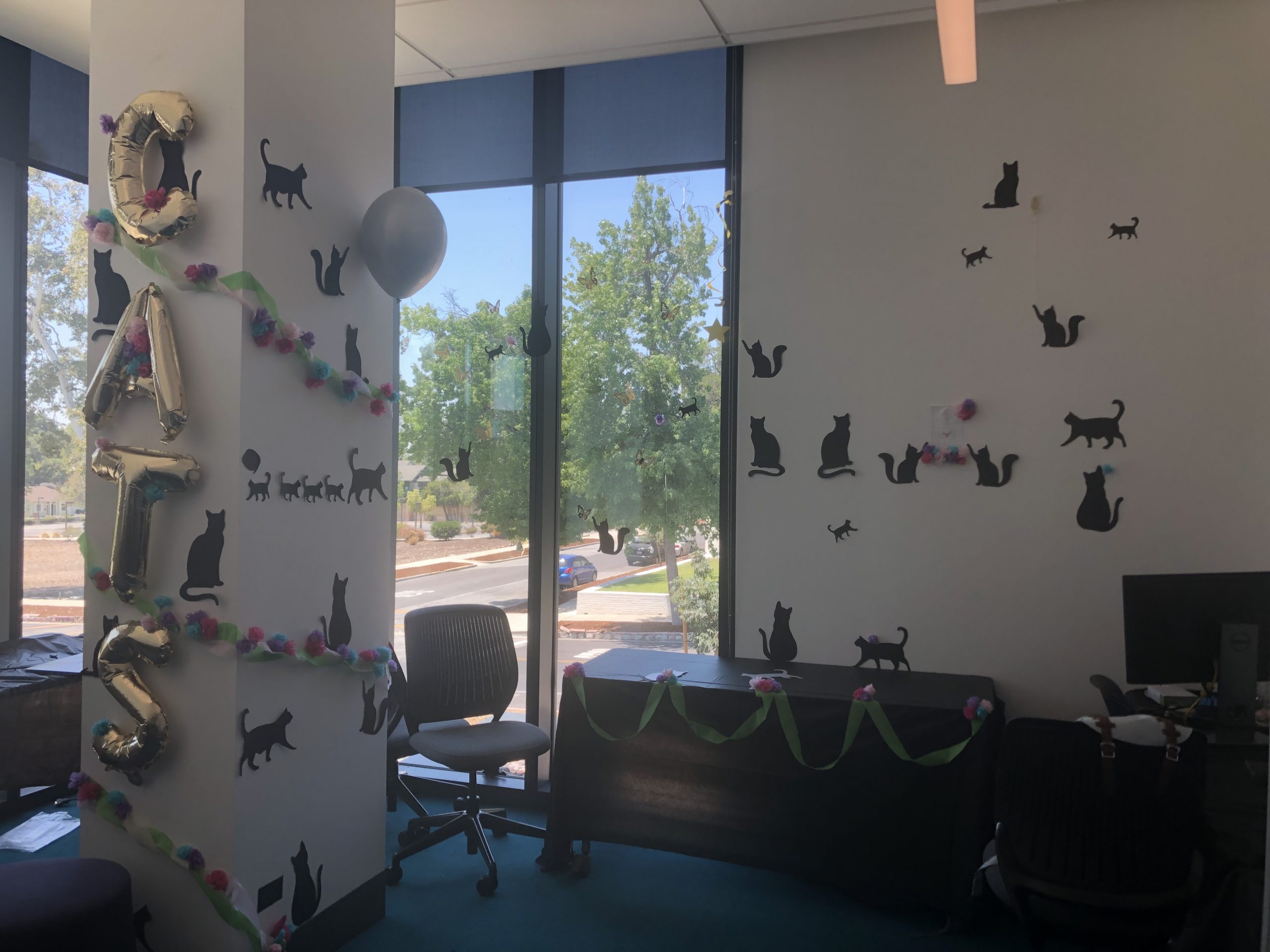 Image of an office space with black cats around the walls, and giant balloons spelling 'CATS.'