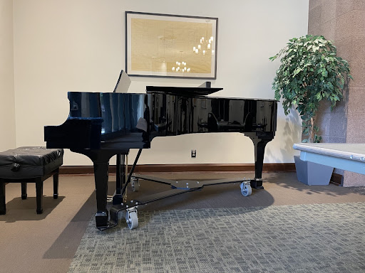 A black grand piano with a wall in the background and a plant beside it.