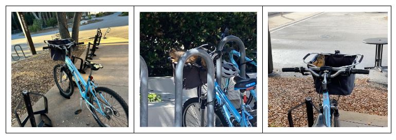 Three photos, picturing squirrels near and on a blue bike.