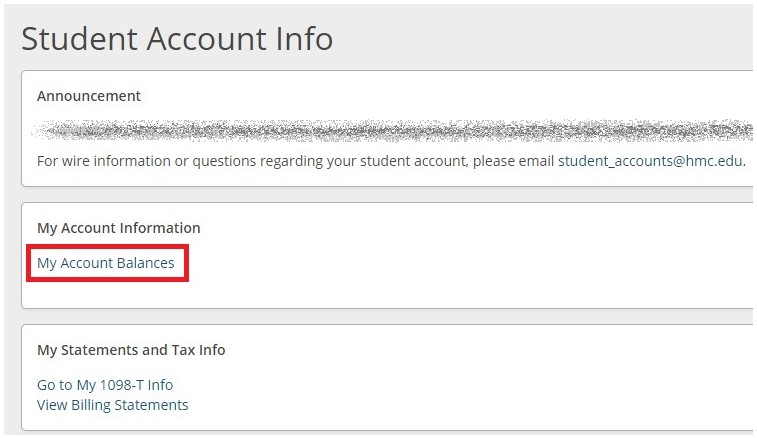 eCheck payment process step 6 - Select My Account Balance