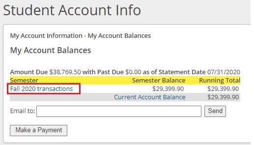 Step 7 - Select a semester to view individual transactions