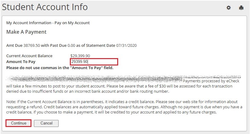 eCheck payment process step 8 - Enter the amount you wish to pay
