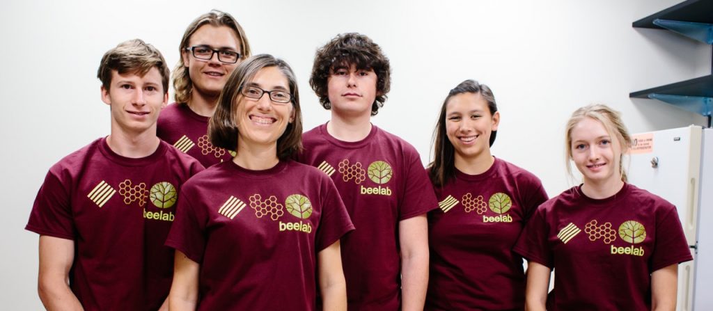 HMC Bee Lab, Summer 2015
