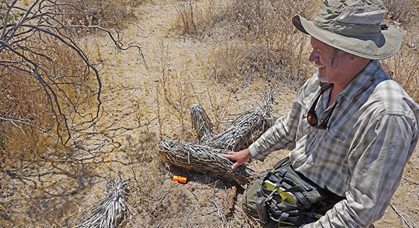 Stephen Adolph at research site