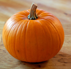 Picture of a pumpkin which evokes thoughts of Fall
