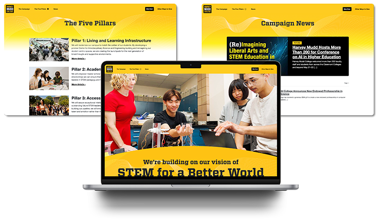 Screenshots of new campaign website