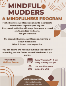Mindful Mudders flyer. Text repeated below.