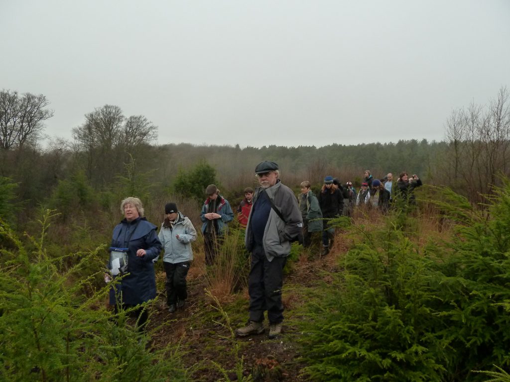 Harvey Mudd group at Egdon Heath, 2011