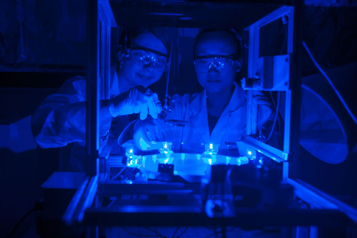 Students work in a lab lit by ultra violet.