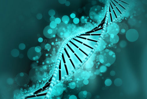 comp_bio-header