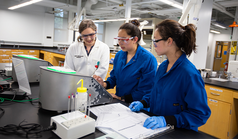 A Professor and students work in a chemistry lab.