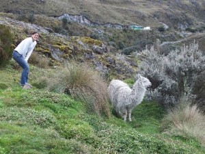 Julia Diaz '12 bothers a sheep